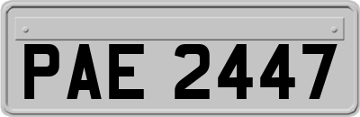 PAE2447