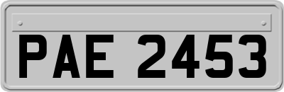 PAE2453