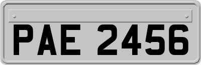 PAE2456