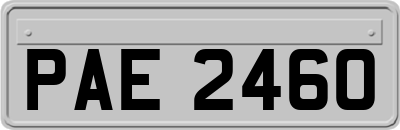 PAE2460