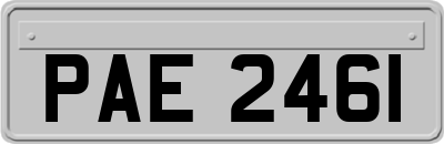 PAE2461
