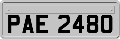 PAE2480