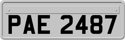 PAE2487