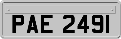 PAE2491