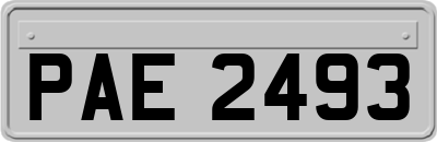 PAE2493