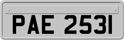 PAE2531