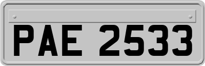 PAE2533
