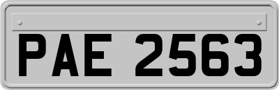 PAE2563