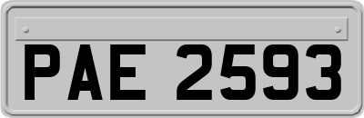 PAE2593