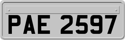 PAE2597