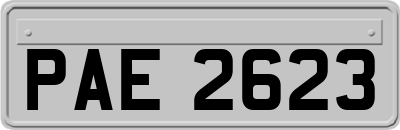 PAE2623