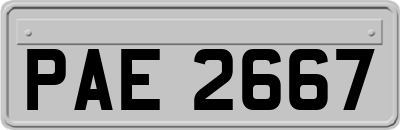 PAE2667