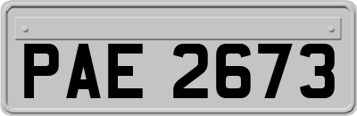 PAE2673