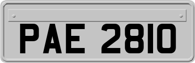 PAE2810