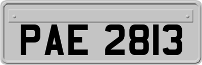 PAE2813