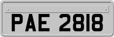 PAE2818