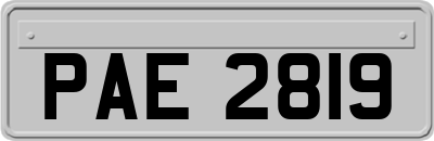 PAE2819