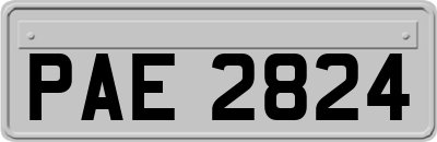PAE2824