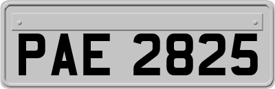PAE2825