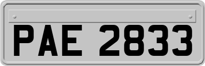 PAE2833