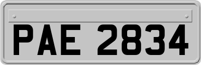 PAE2834