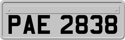 PAE2838