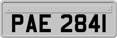PAE2841