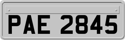 PAE2845