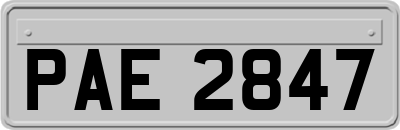 PAE2847