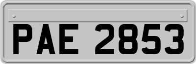 PAE2853