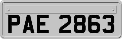 PAE2863