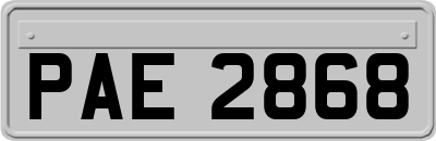 PAE2868