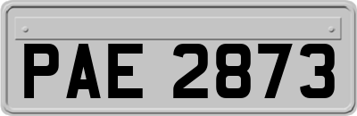 PAE2873