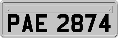 PAE2874