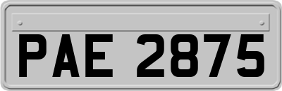 PAE2875
