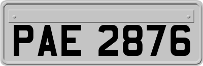 PAE2876