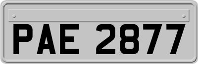 PAE2877