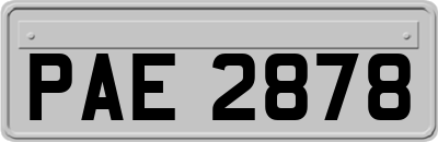 PAE2878