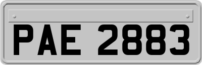 PAE2883