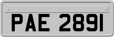PAE2891