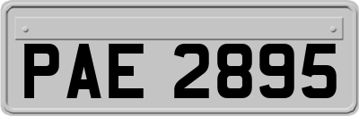PAE2895