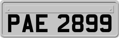 PAE2899
