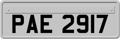 PAE2917