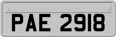 PAE2918