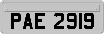 PAE2919