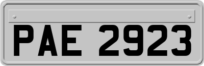 PAE2923