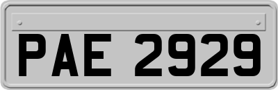 PAE2929