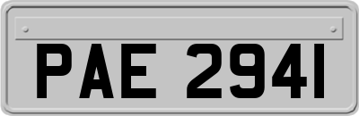 PAE2941