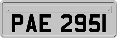 PAE2951