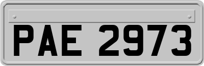 PAE2973